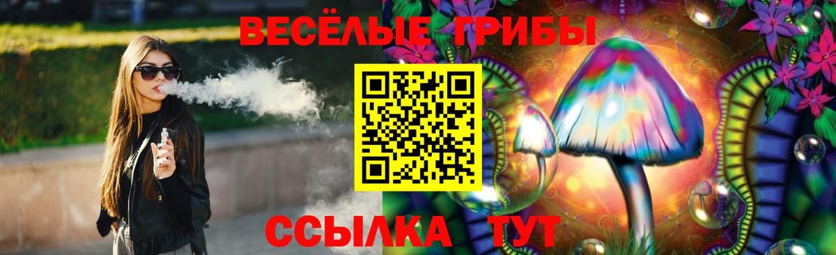 Галлюциногенные грибы Cubensis Новоалександровск